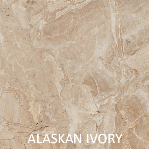 Alaskan Ivory Color Chip Labelled