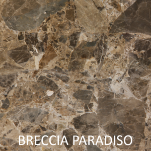 Breccia Paradiso Color Chip Labelled