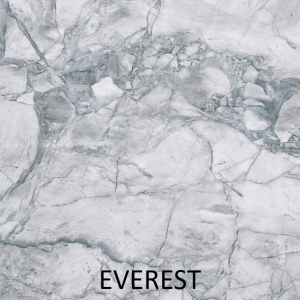 Everest Color Chip Labelled