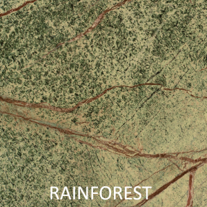 Rainforest Color Chip Labelled