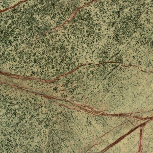 Rainforest Colour Chip